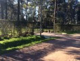/album/fotos-del-viso/la-foto-5-jpg1/